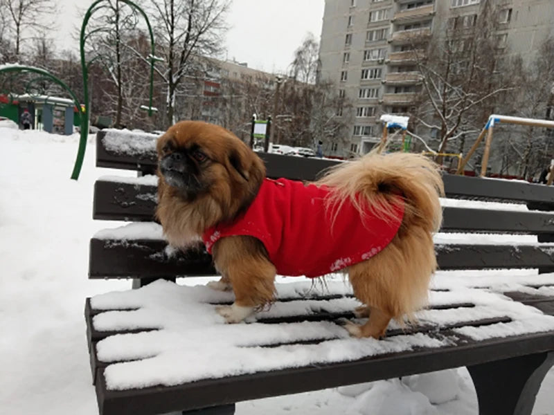 Chaleco de polar con argolla para perros pequeños y gatos
