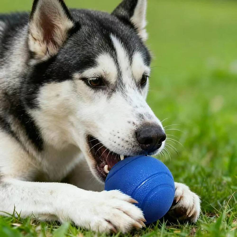 Pelota maciza de goma para juegos con perros