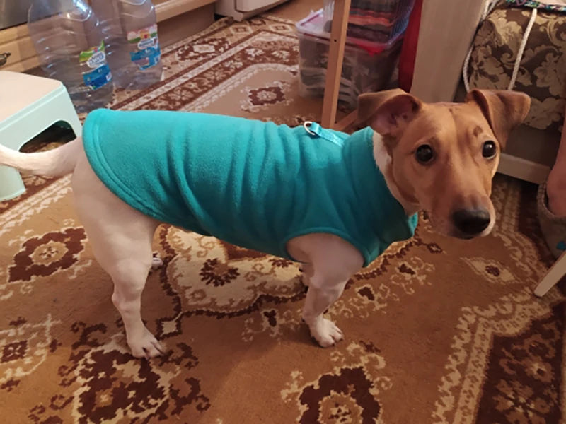 Chaleco de polar con argolla para perros pequeños y gatos