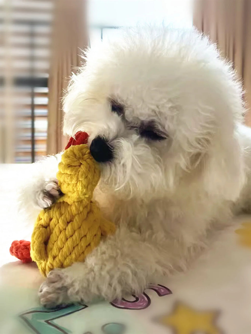 Juguete de soga tejida para perros con diseños de figuras