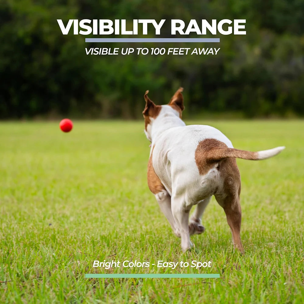 Pelota maciza de goma para juegos con perros