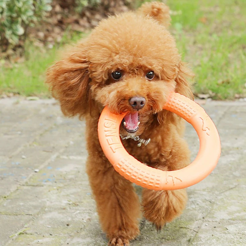 Aro de juego para perros para lanzar y buscar