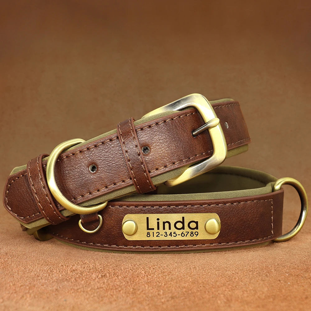 Collar acolchado de PU para perros con placa personalizable