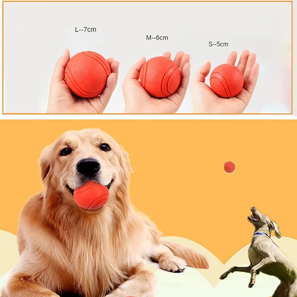 Pelota maciza de goma para juegos con perros