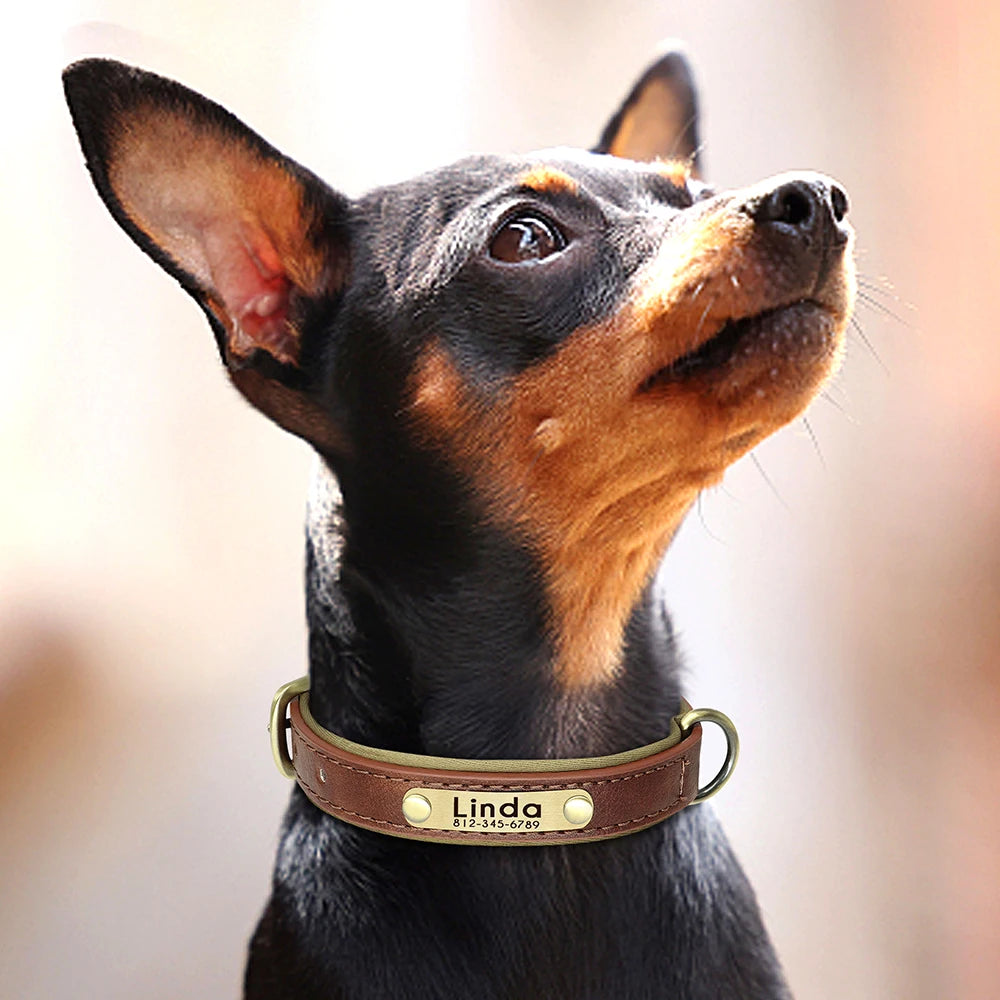 Collar acolchado de PU para perros con placa personalizable