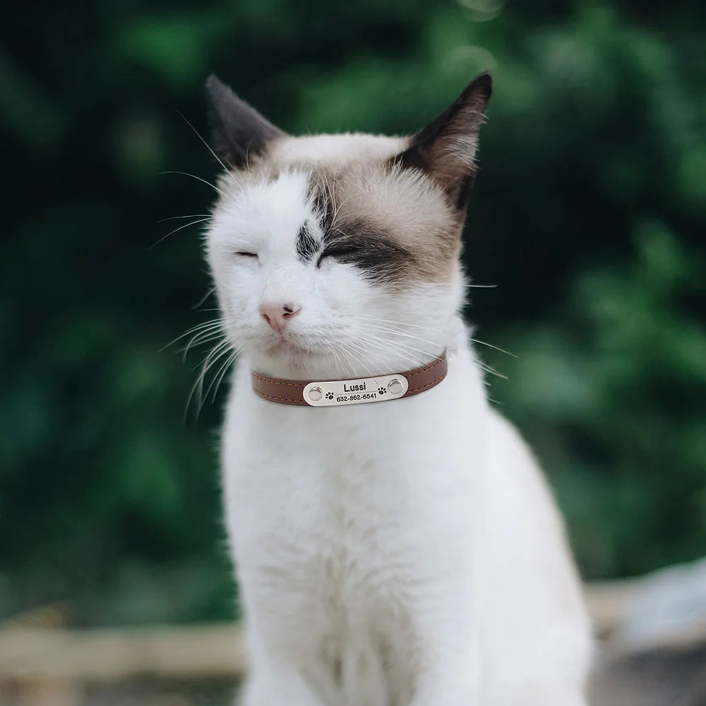 Collar para perros con placa grabable y cinco posiciones