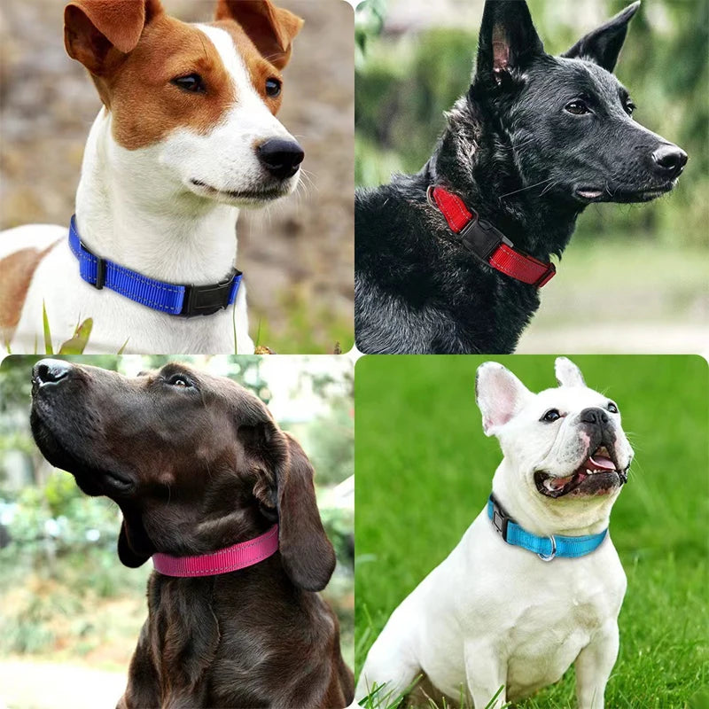Collar reflectivo para perros con acolchado y doble argolla