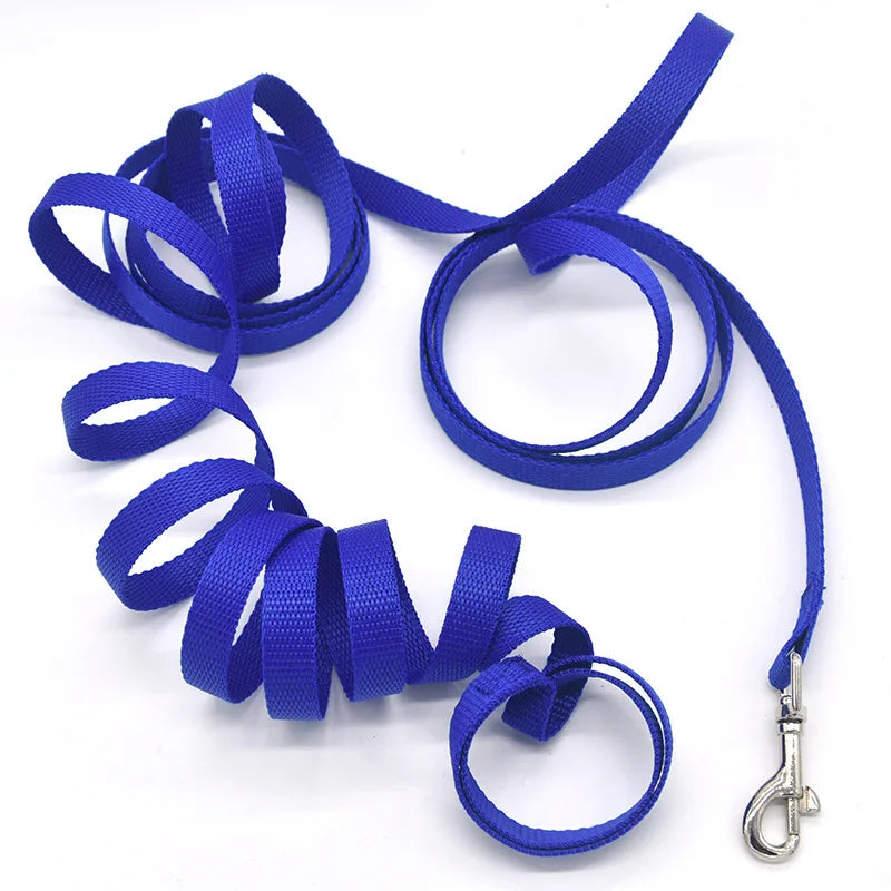 Correa de nylon para perros con largos de 1,2 a 30 m