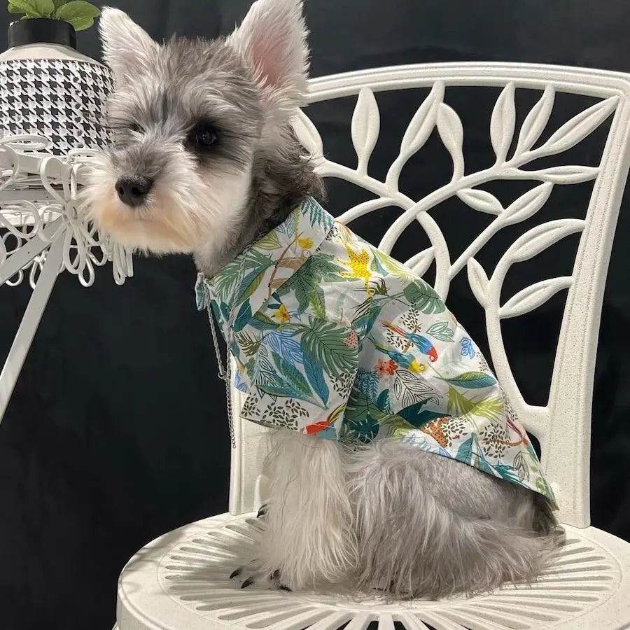 Camisa tropical con botones para perros y gatos