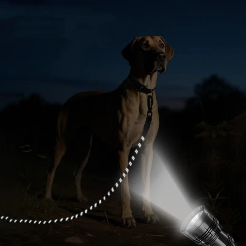 Correa larga reflectiva para perros con manija acolchada