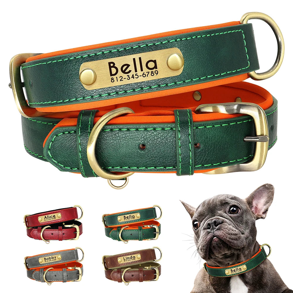 Collar acolchado de PU para perros con placa personalizable