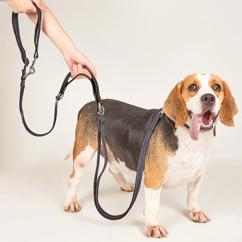 Correa multiposición de jean para perros