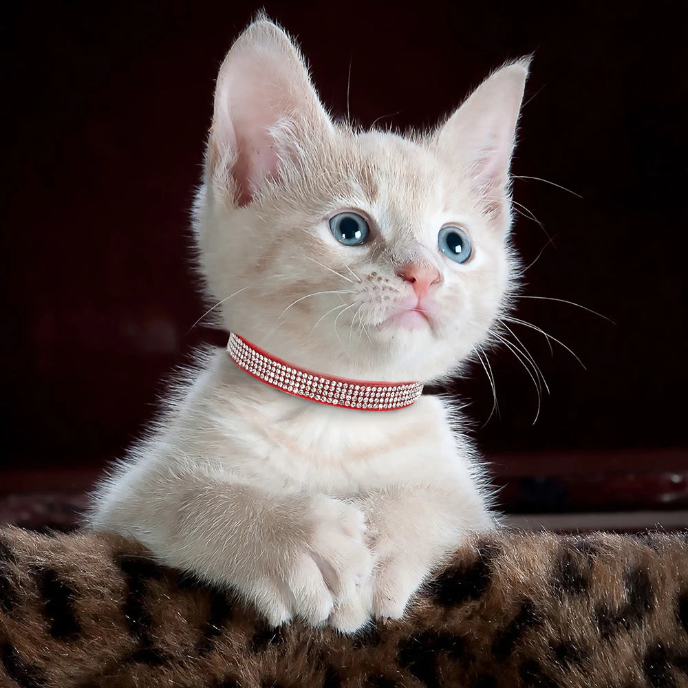 Collar para gatos con strass, cascabel y cierre de seguridad