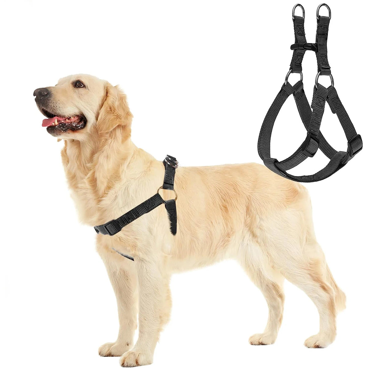 Pretal para perros de colocación por las patas