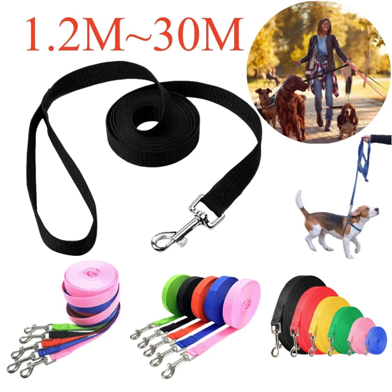 Correa de nylon para perros con largos de 1,2 a 30 m