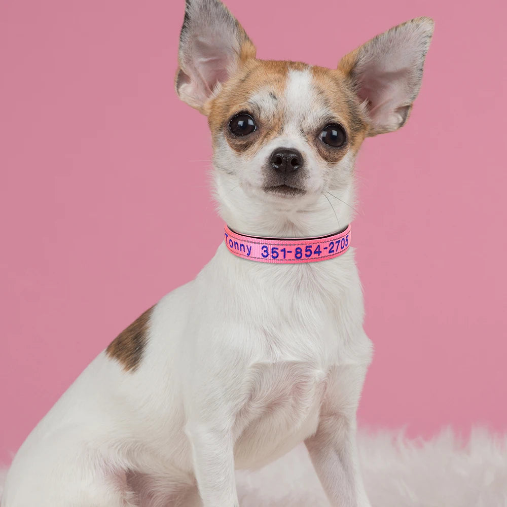Collar reflectivo de nylon para perros con nombre bordado