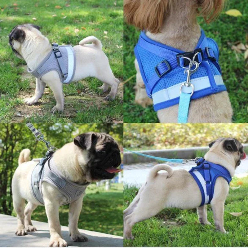 Pretal ajustable de malla para perros con correa de 115 cm