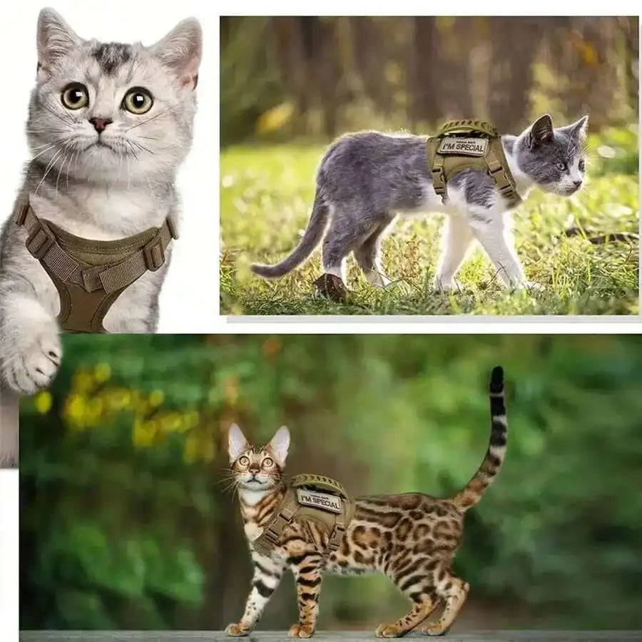 Pretal chaleco ajustable para gatos con malla suave