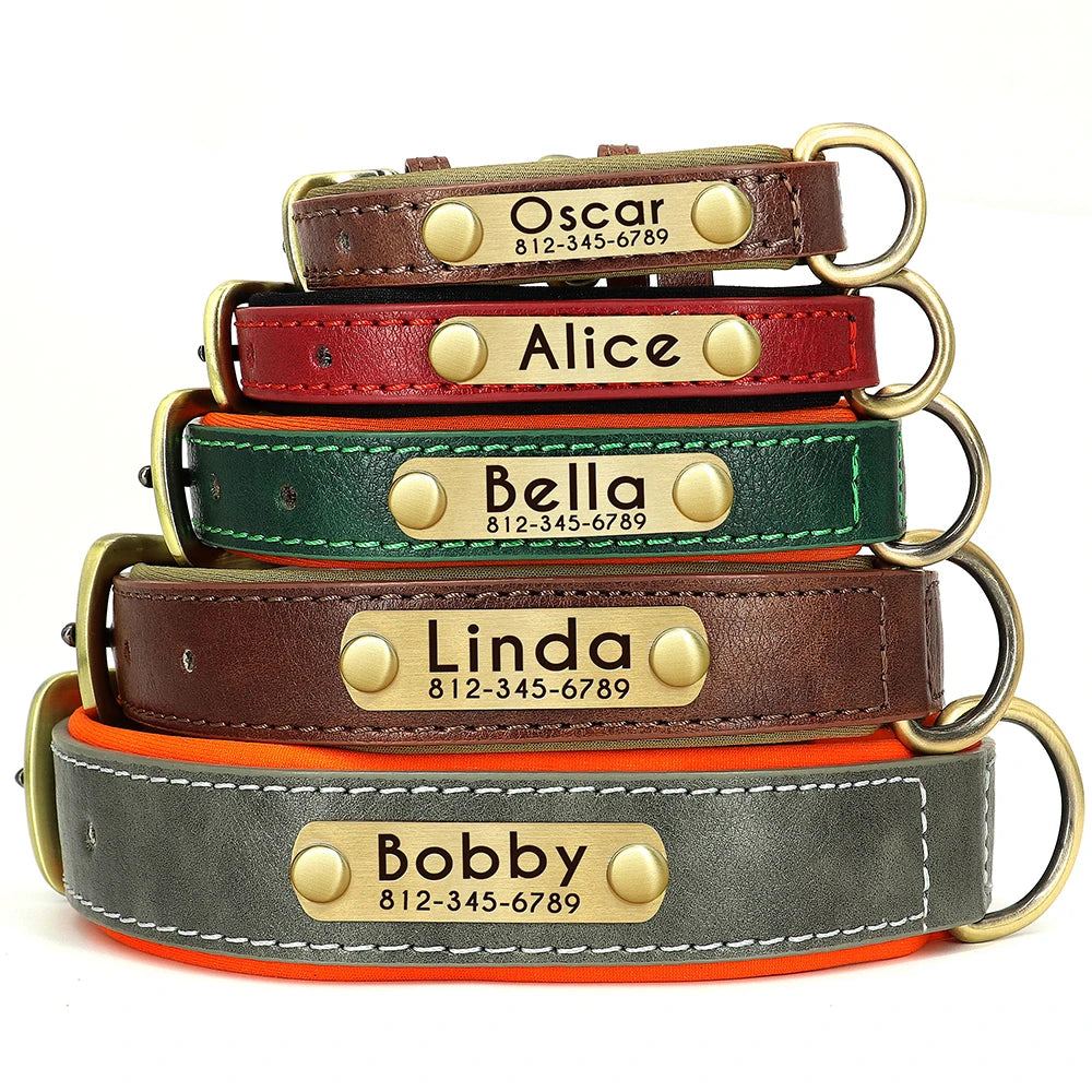 Collar acolchado de PU para perros con placa personalizable