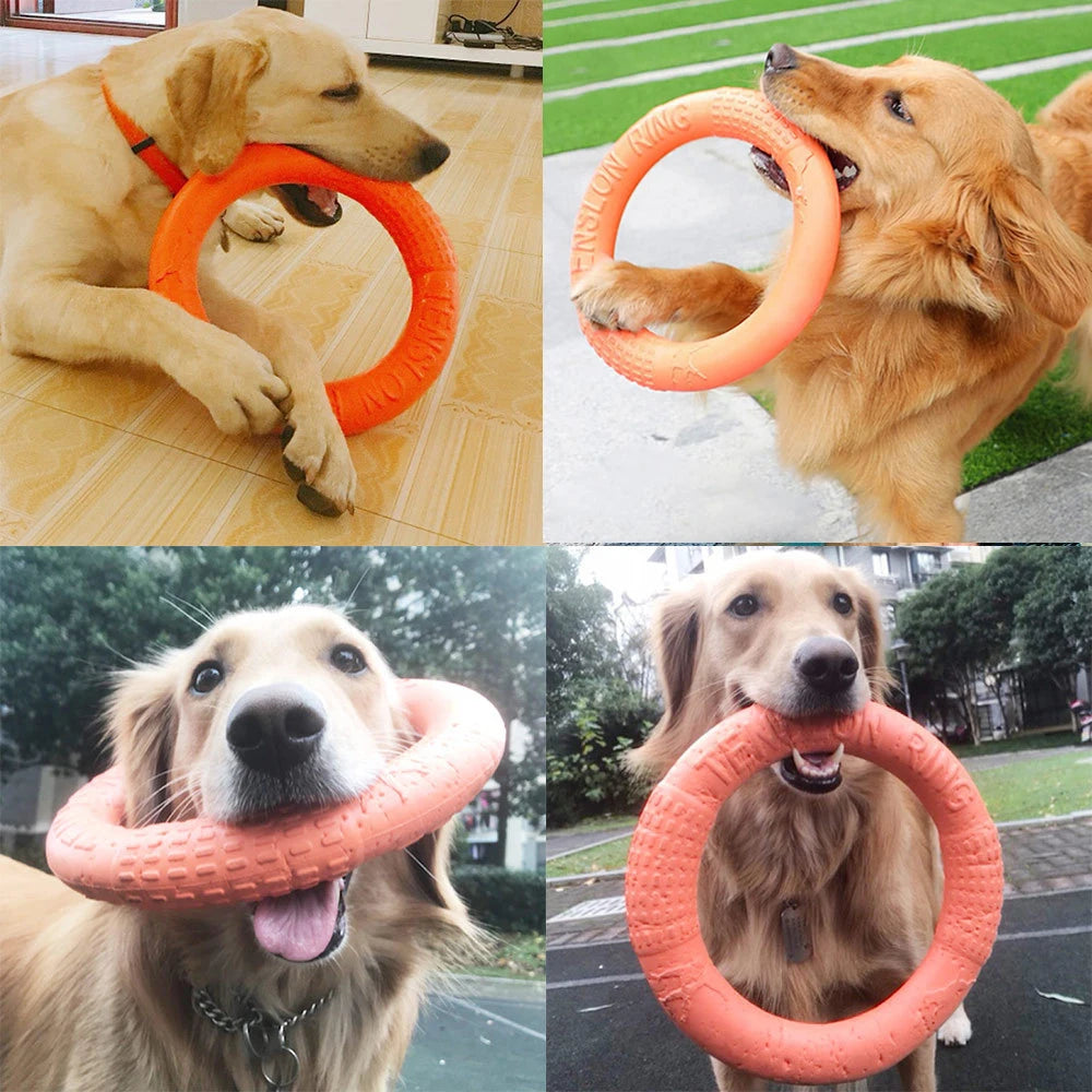 Aro de juego para perros para lanzar y buscar