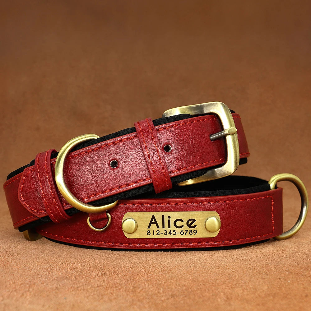 Collar acolchado de PU para perros con placa personalizable