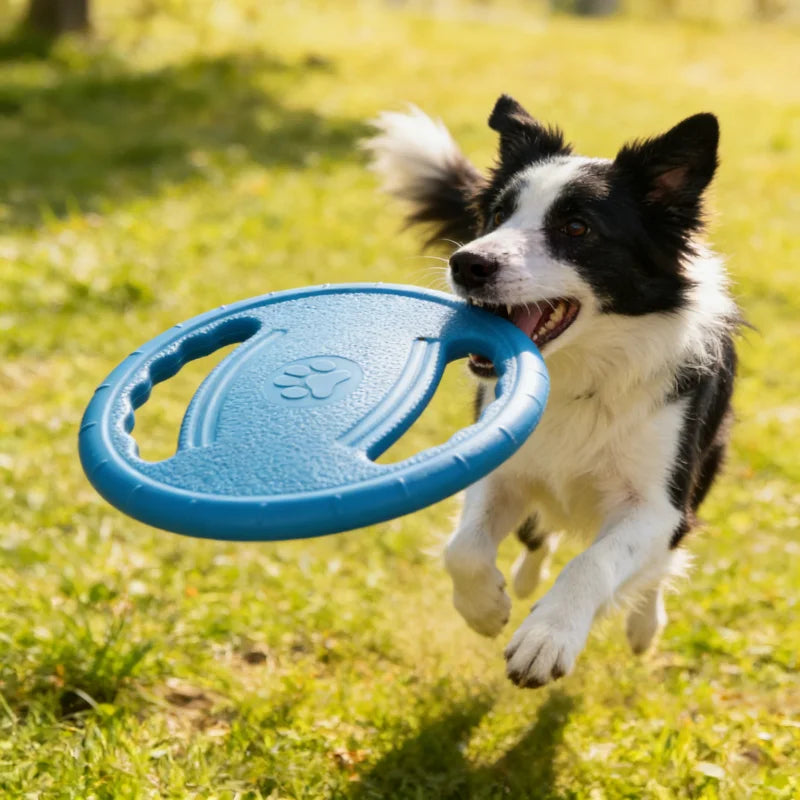 Disco de juego para perros de 20 cm