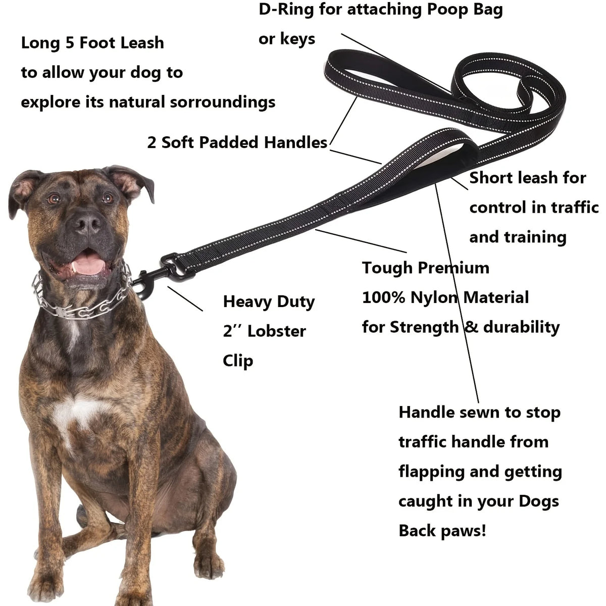 Correa de cinta para perros con doble manija de control