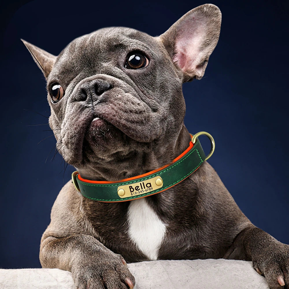 Collar acolchado de PU para perros con placa personalizable
