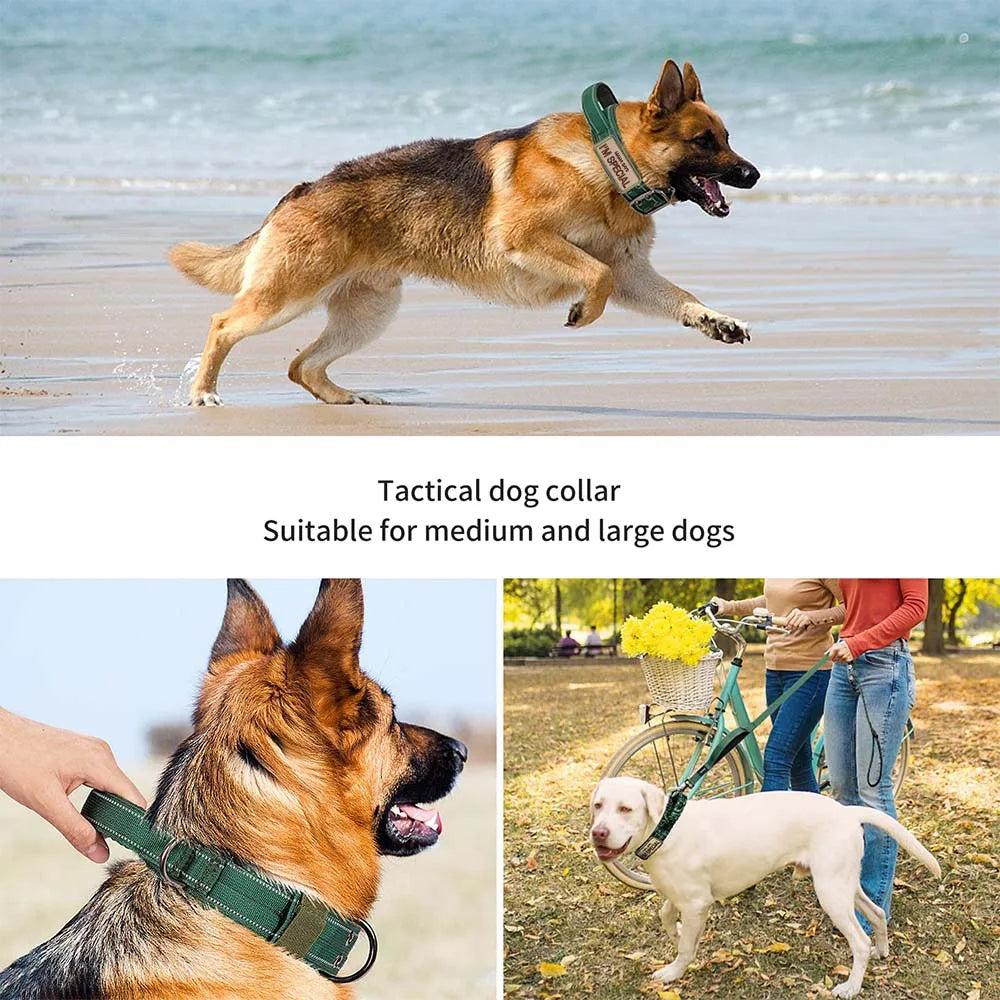 Collar táctico para perros con doble hebilla y asa acolchada
