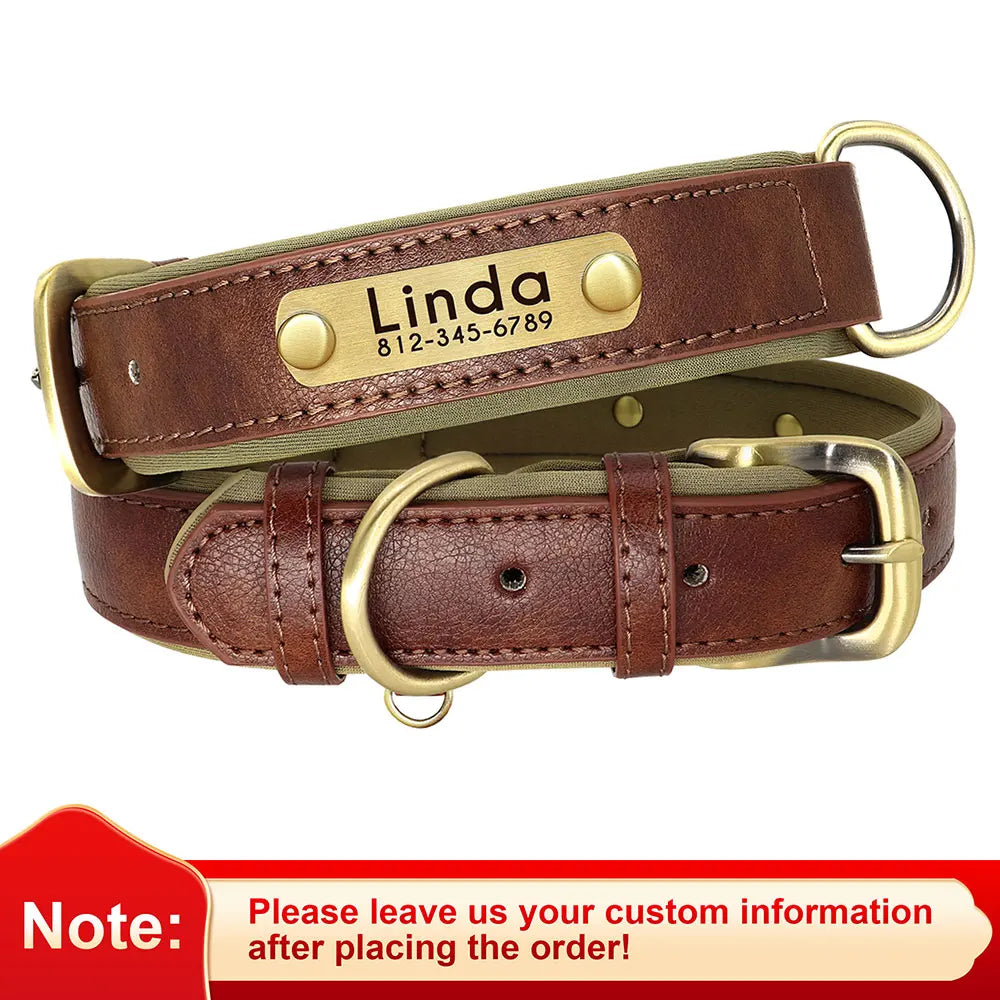 Collar acolchado de PU para perros con placa personalizable