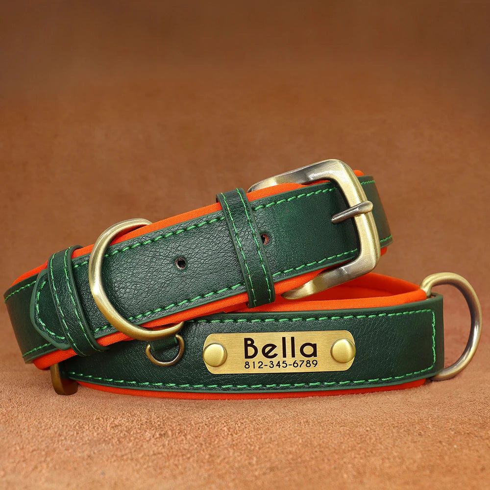 Collar acolchado de PU para perros con placa personalizable