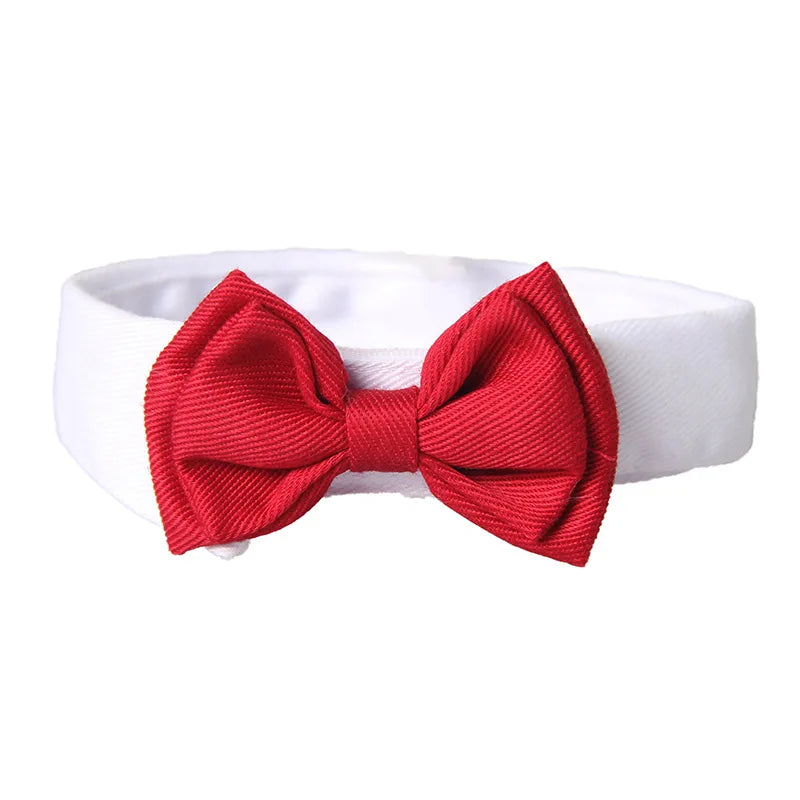 Moño de fiesta ajustable para perros y gatos