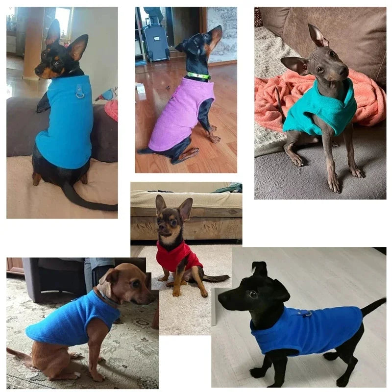 Chaleco de polar con argolla para perros pequeños y gatos