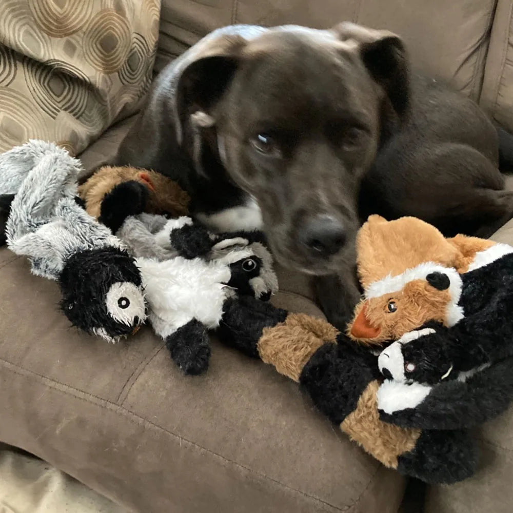 Peluche plano para perros sin relleno y con sonido