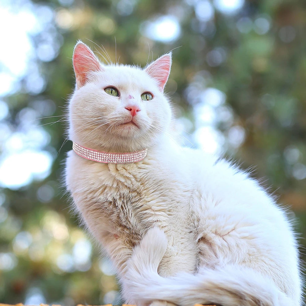 Collar para gatos con strass, cascabel y cierre de seguridad