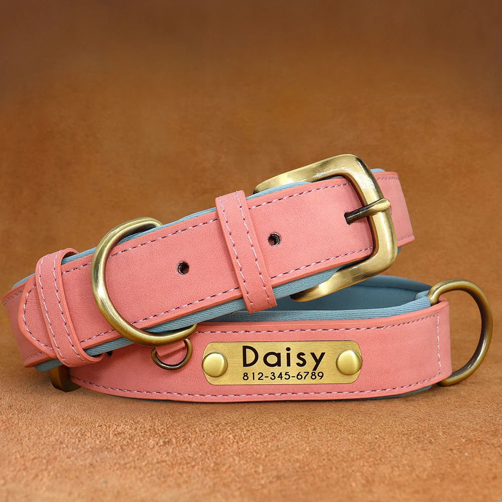 Collar acolchado de PU para perros con placa personalizable
