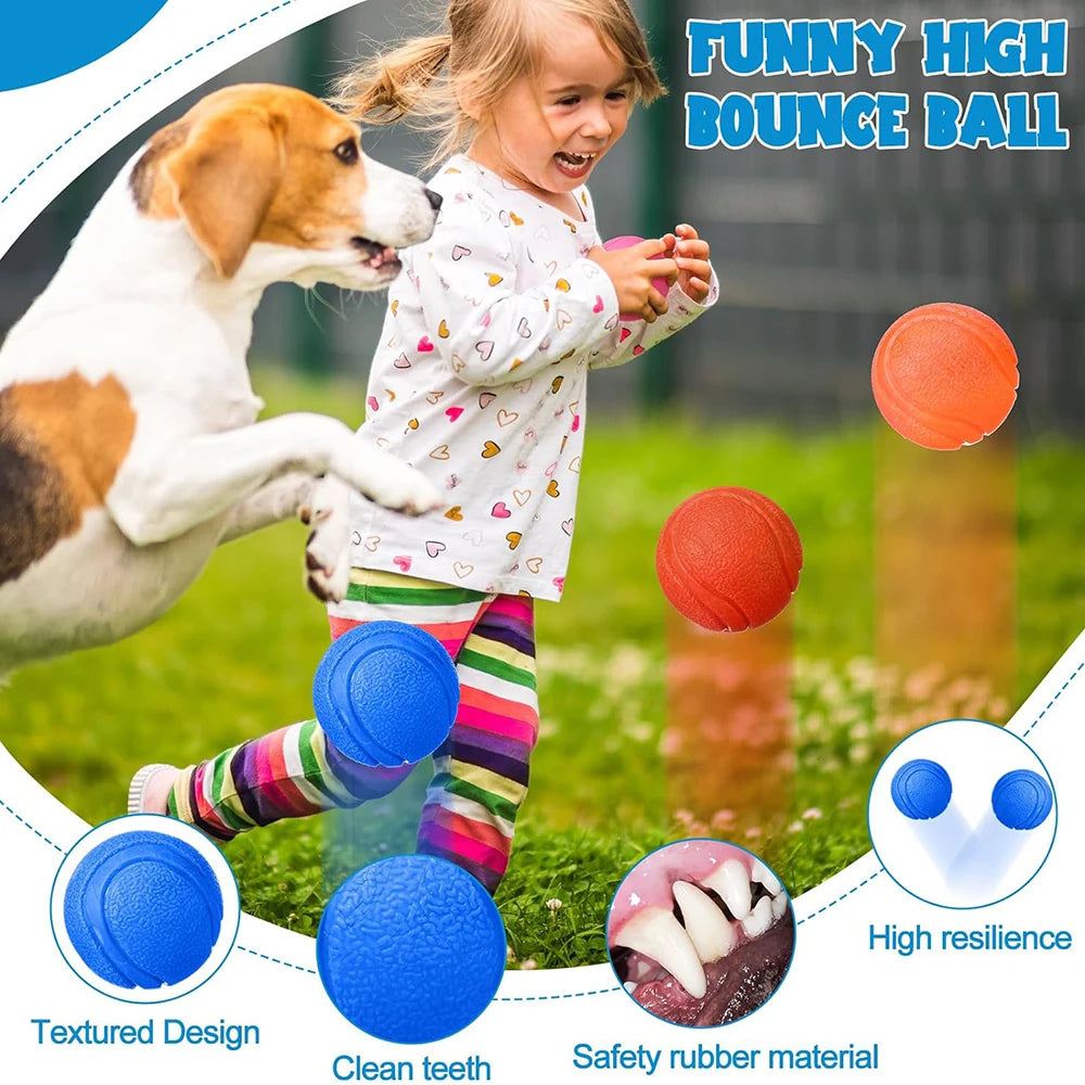 Pelota maciza de goma para juegos con perros