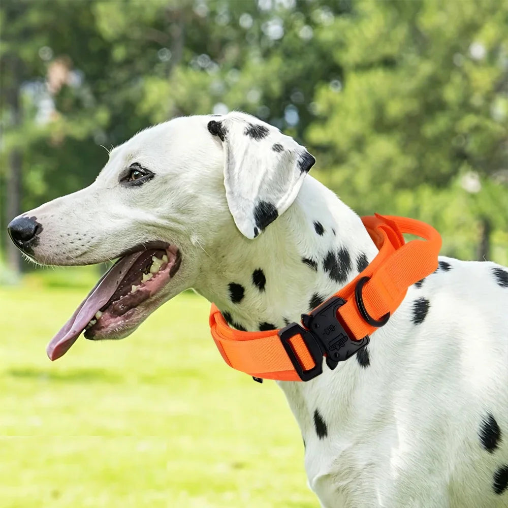 Collar ajustable para perros con asa y estilo táctico