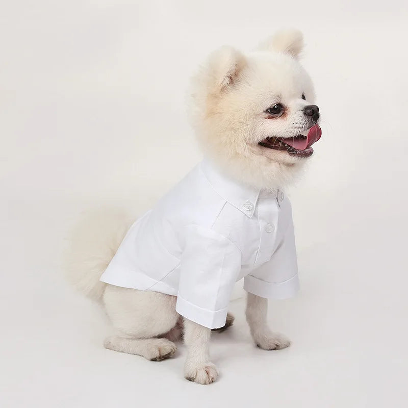 Camisa lisa de poliéster para perros