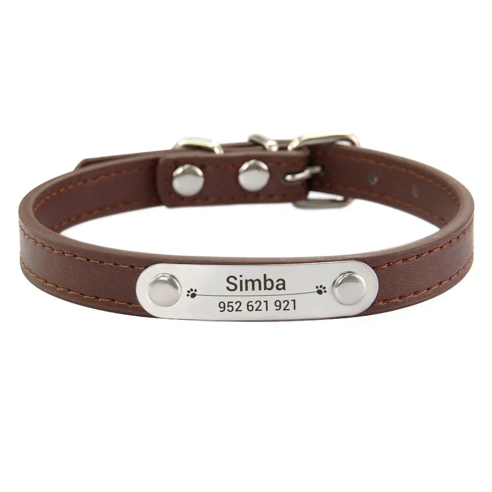 Collar para perros con placa grabable y cinco posiciones