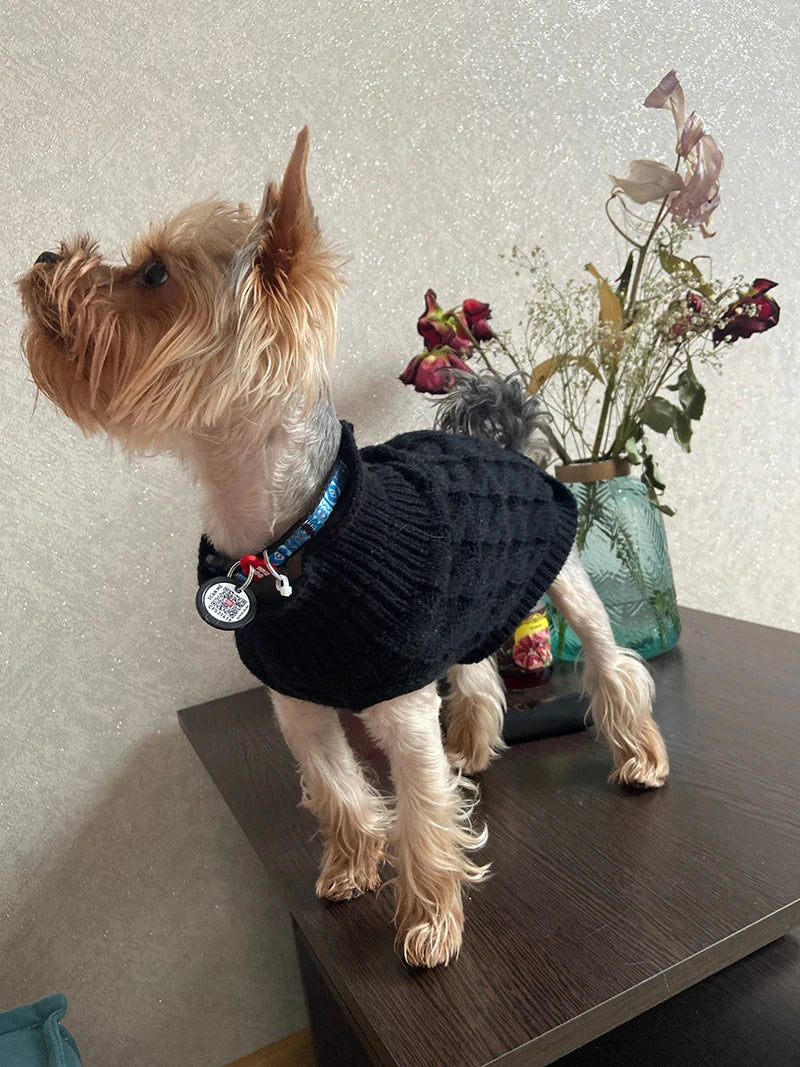 Suéter tejido de cuello alto para perros pequeños y gatos