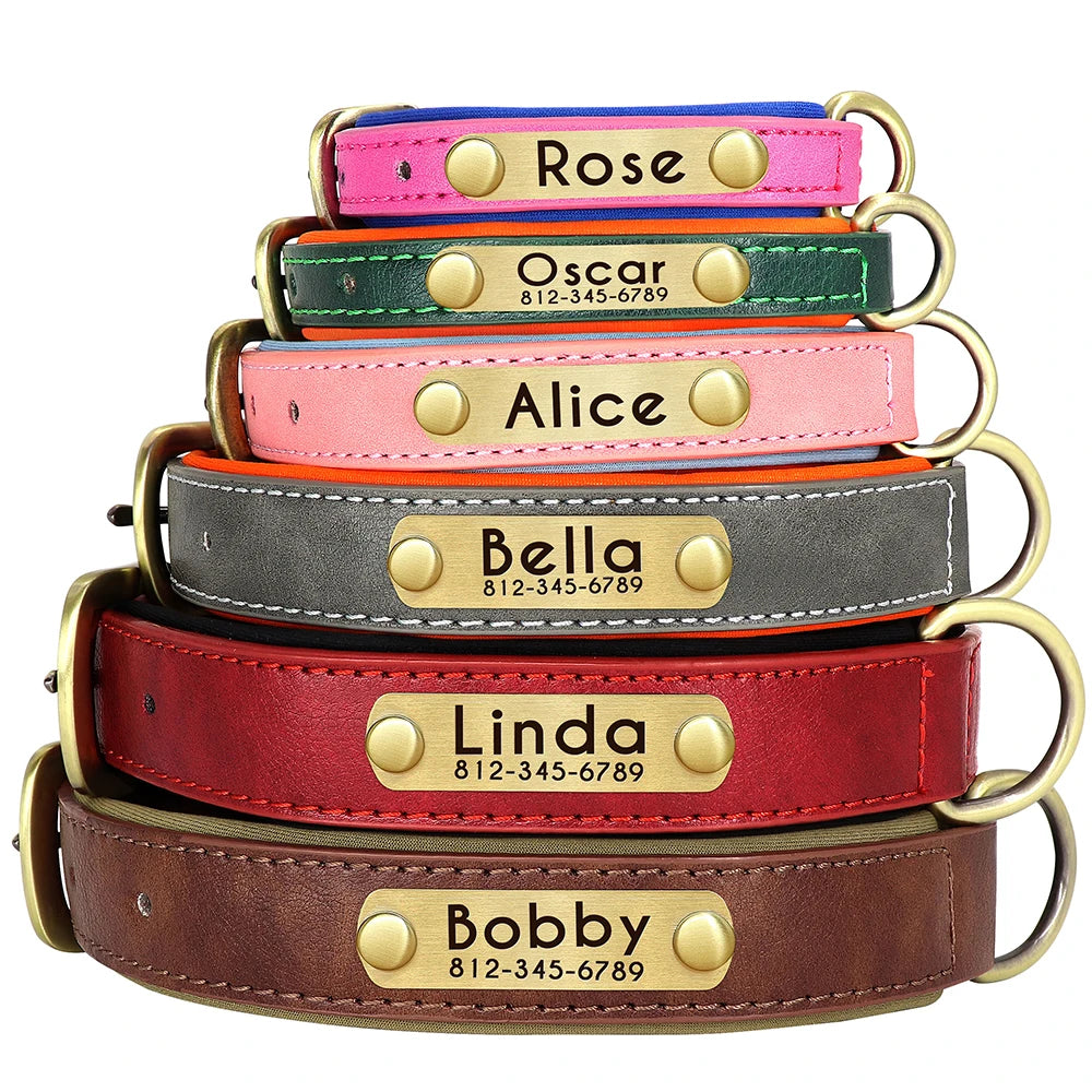 Collar acolchado de PU para perros con placa personalizable