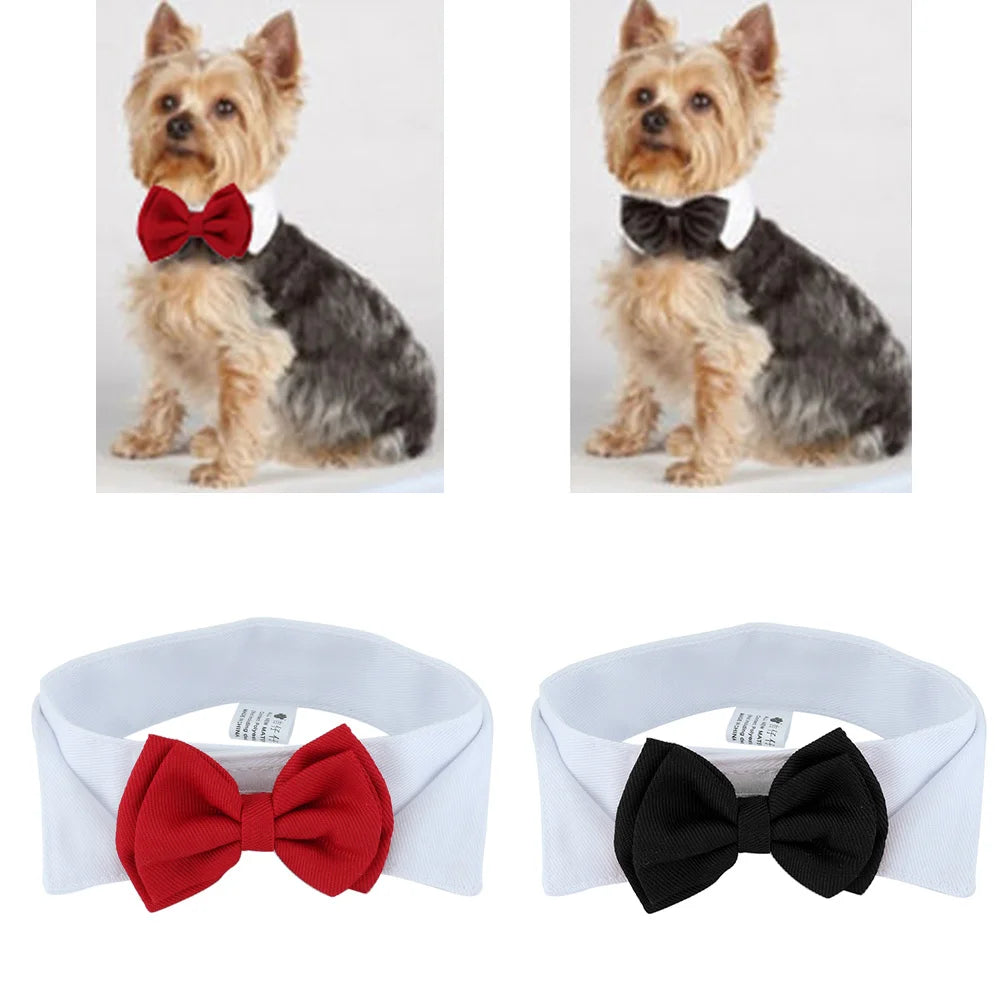 Moño de fiesta ajustable para perros y gatos