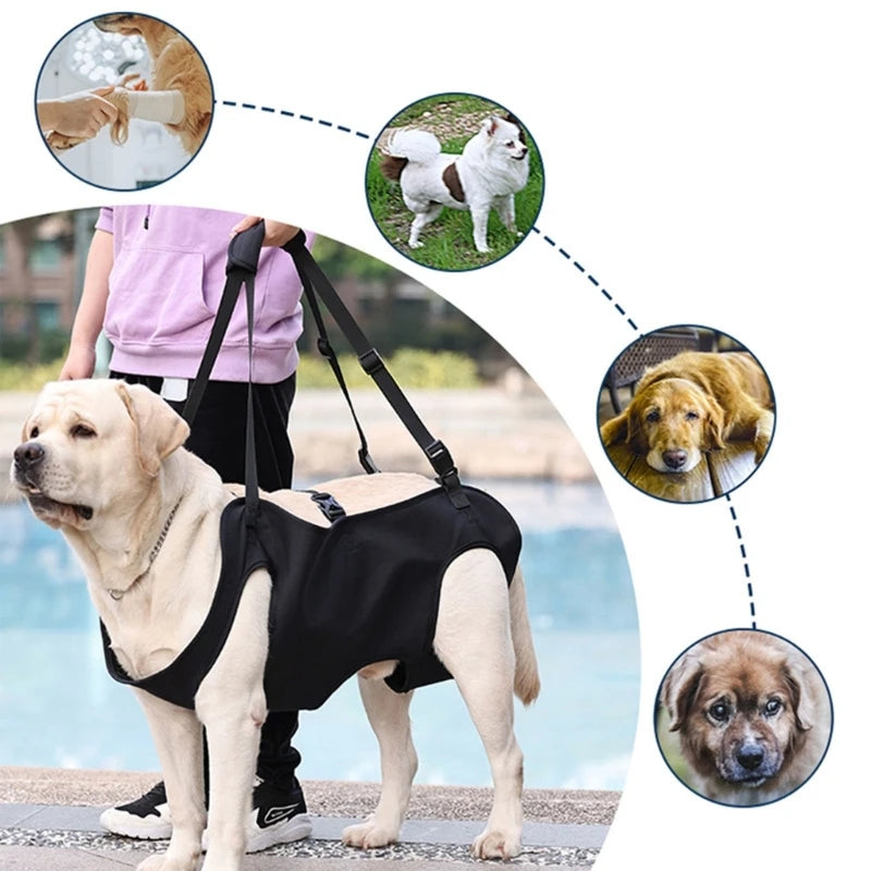 Arnés de asistencia para perros con soporte acolchado