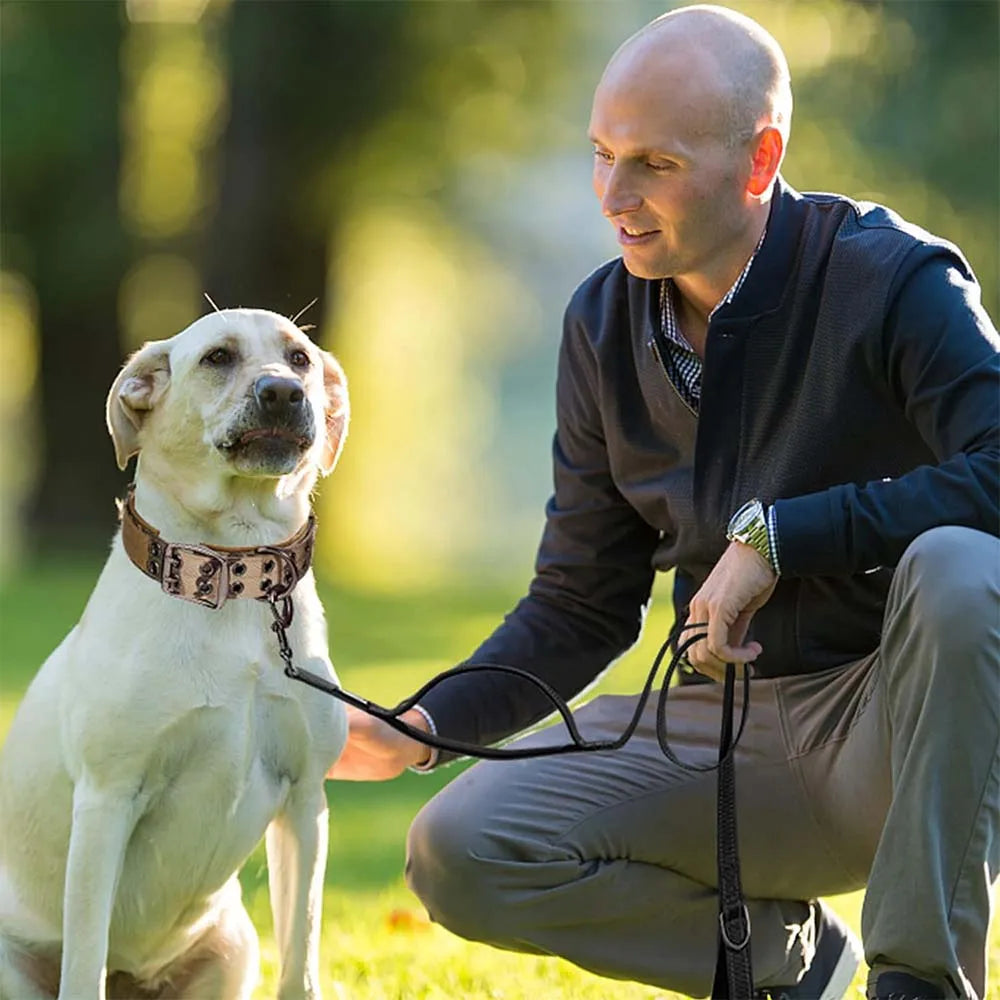Collar táctico para perros con doble hebilla y asa acolchada