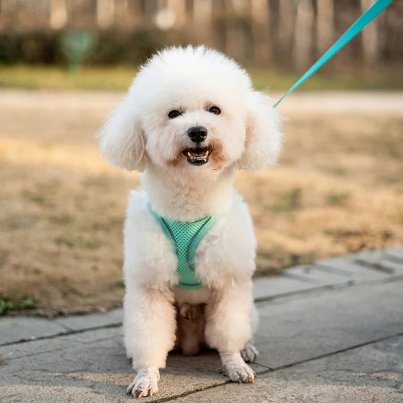 Pretal chaleco reflectivo con correa para perros pequeños