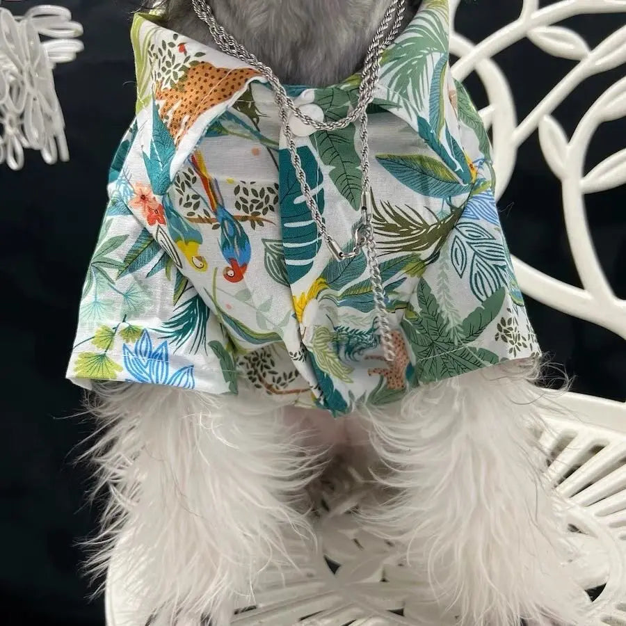 Camisa tropical con botones para perros y gatos