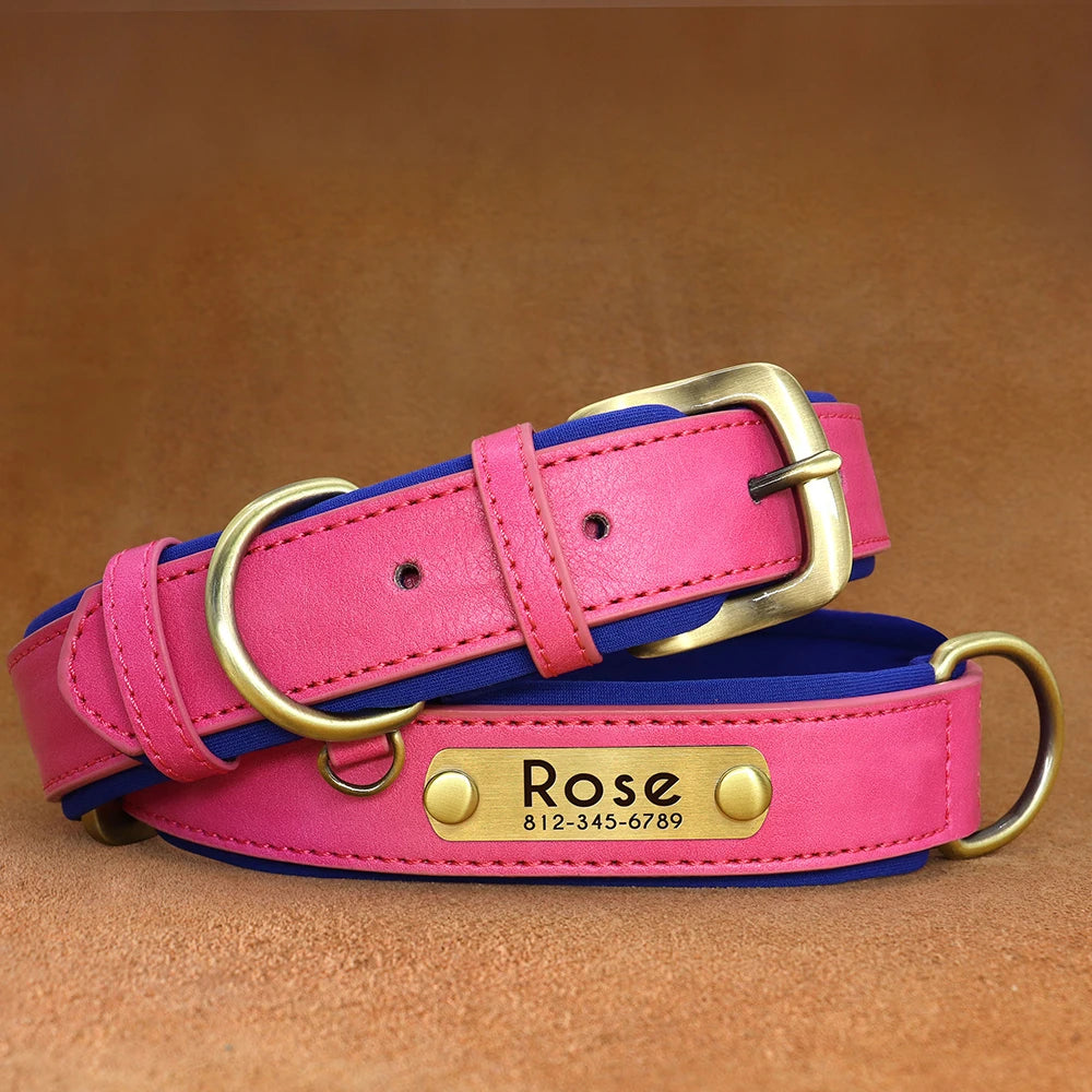 Collar acolchado de PU para perros con placa personalizable