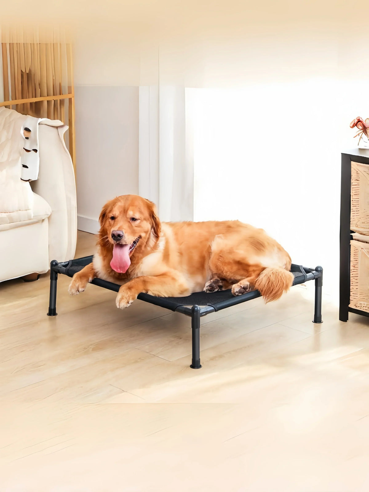 Catre elevado plegable para perros y gatos