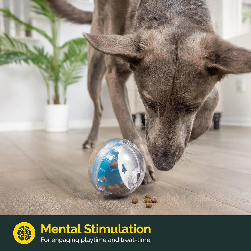 Pelota dispensadora de premios para perros de 8,5 cm